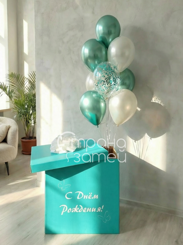 Photo_1767089410733 Шары с гелием и коробка сюрприз с доставкой в Нижнем Новгороде
