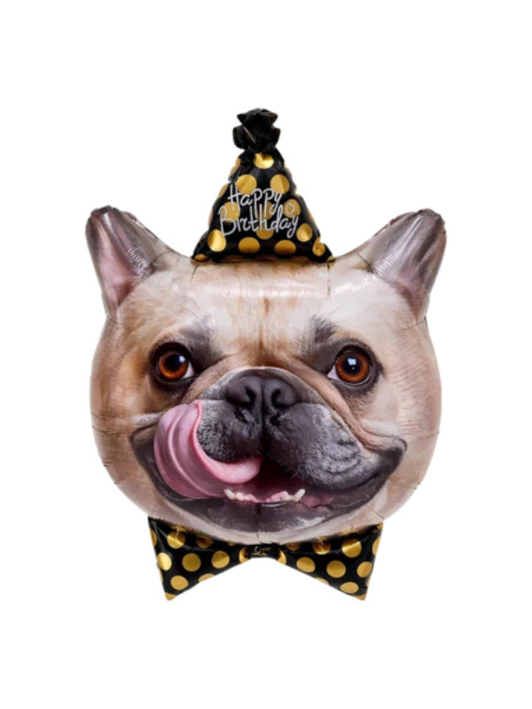 shar-figura-mops-v-kolpake Шар-фигура Мопс в колпаке 74 см с гелием для детей и взрослых, Нижний Новгород